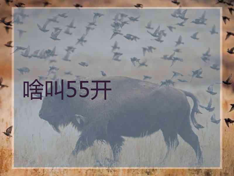 啥叫55开