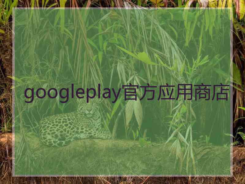 googleplay官方应用商店