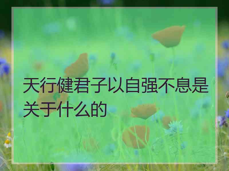 天行健君子以自强不息是关于什么的