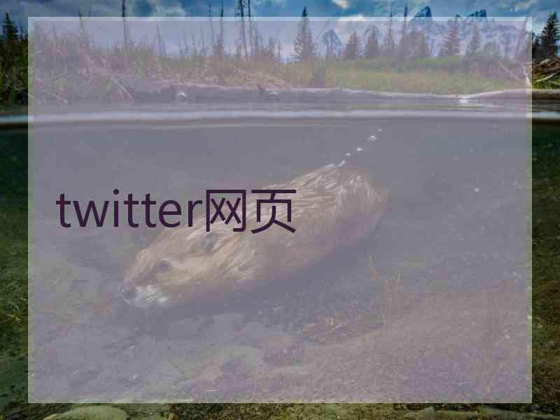 twitter网页