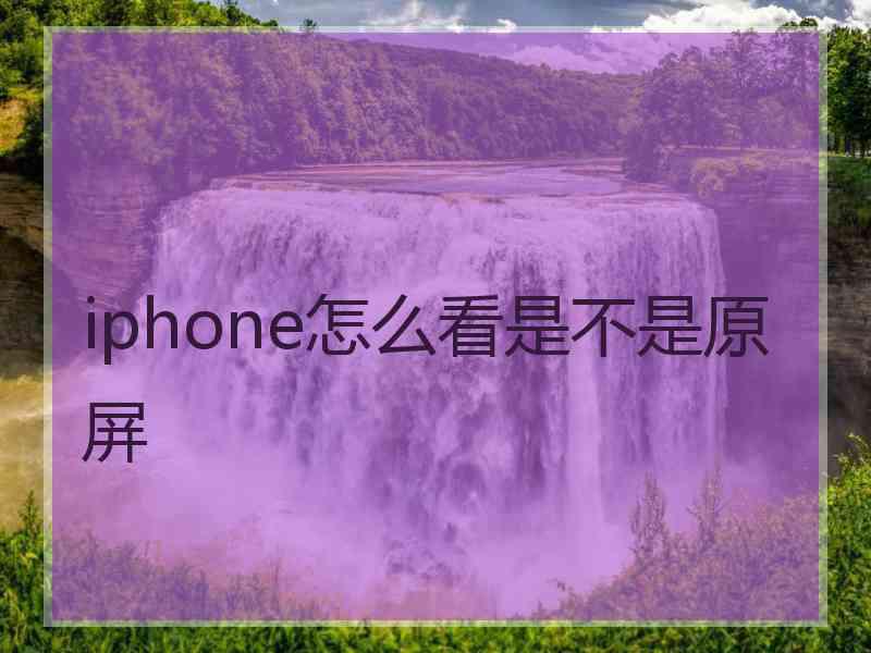 iphone怎么看是不是原屏