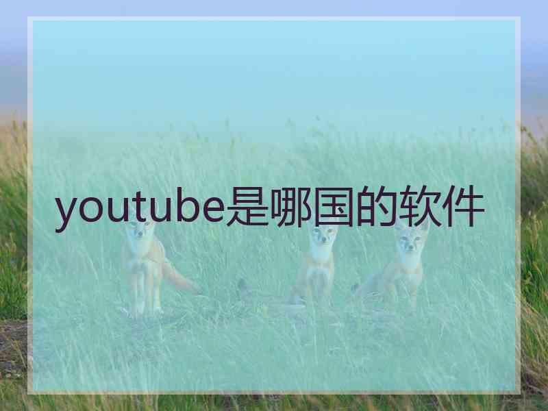 youtube是哪国的软件