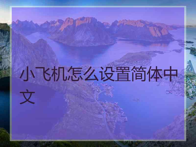 小飞机怎么设置简体中文