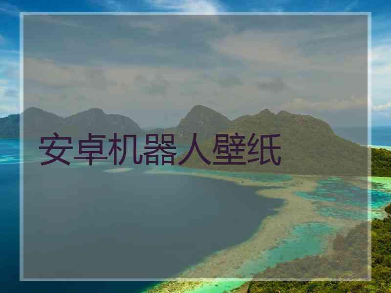 安卓机器人壁纸