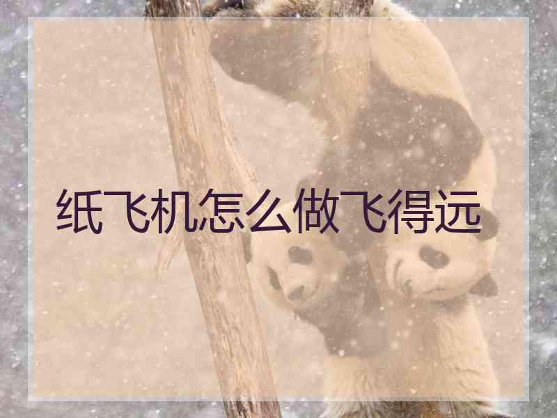 纸飞机怎么做飞得远