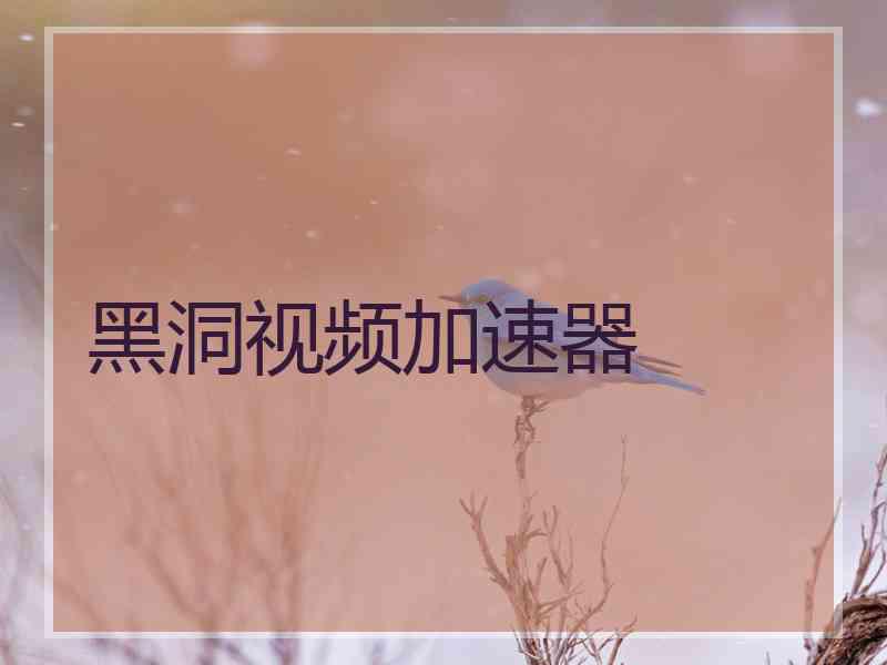 黑洞视频加速器