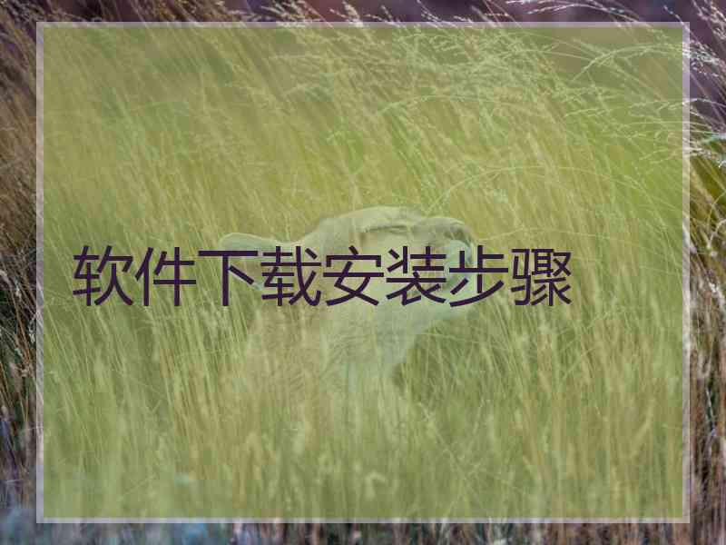 软件下载安装步骤