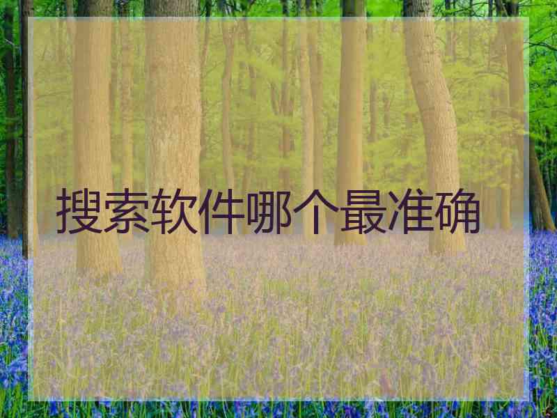 搜索软件哪个最准确