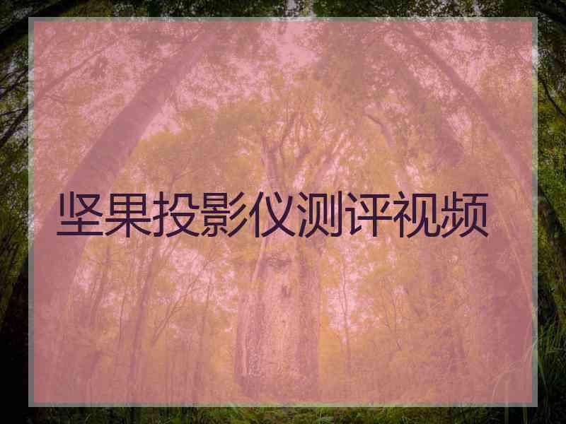 坚果投影仪测评视频