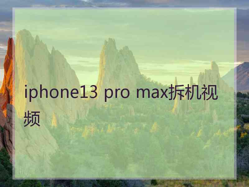 iphone13 pro max拆机视频